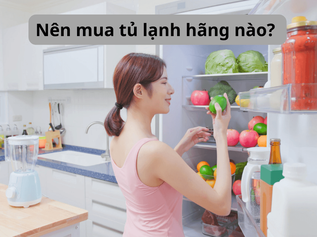 Nên mua tủ lạnh hãng nào? 