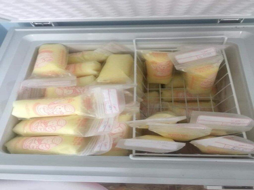 Tủ Đông Mini Trữ Sữa 