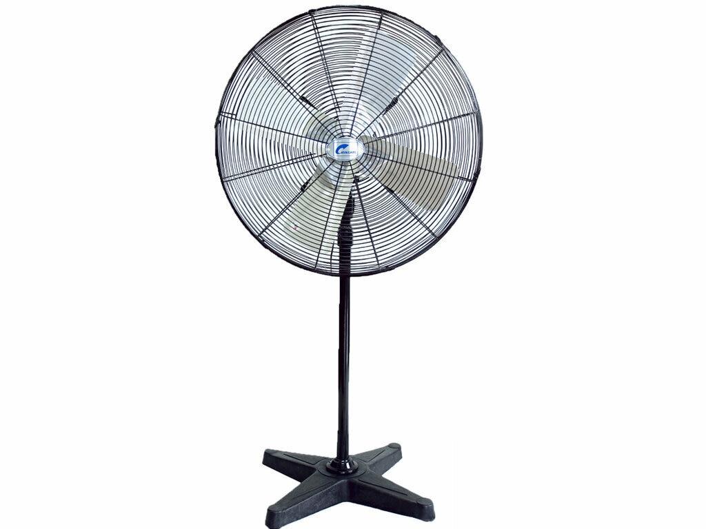 4 Mẫu quạt cây Chinghai công nghiệp giá rẻ hot, được săn lùng nhiều nhất
