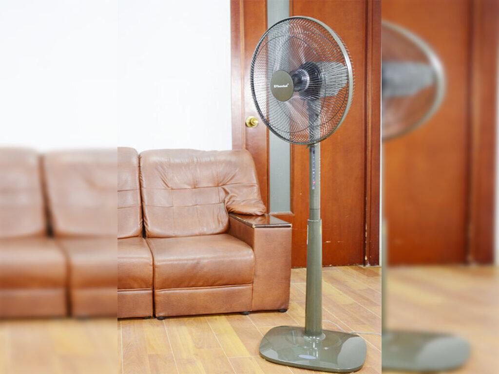 4 Mẫu Quạt Cây Điện Cơ Thống Nhất Giá Rẻ, Bền Đẹp, Trường Tồn Cùng Thời Gian
