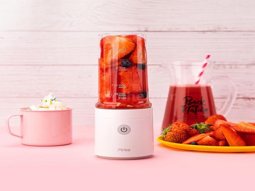 máy xay sinh tố mini