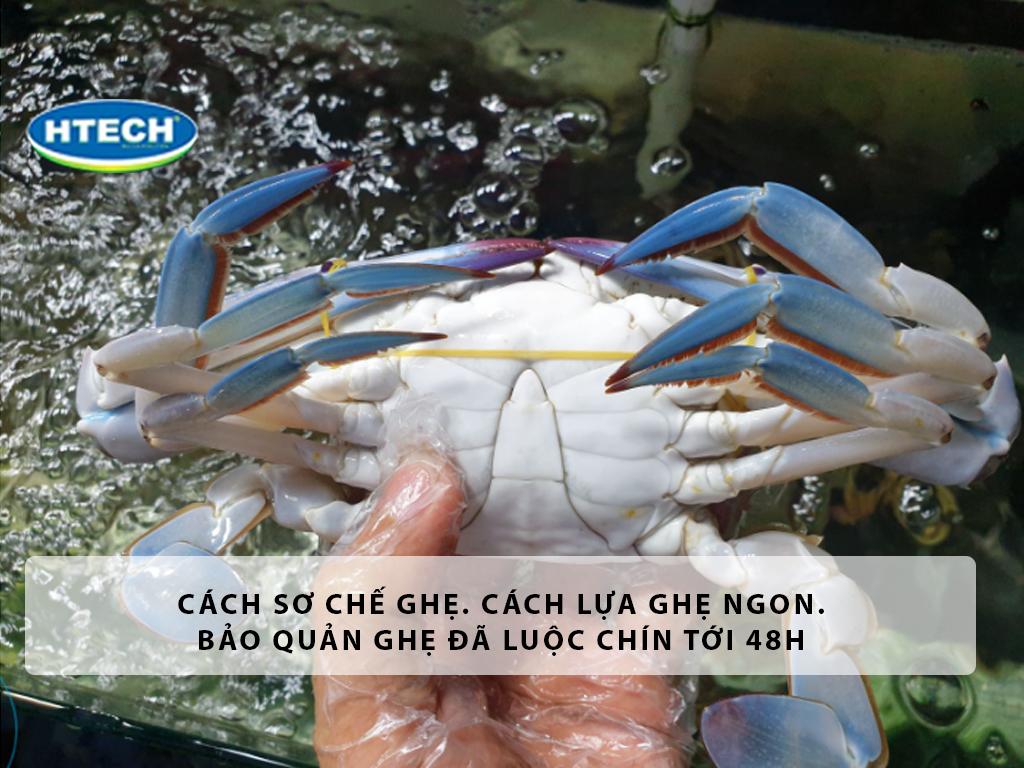Cách sơ chế ghẹ. Cách lựa ghẹ ngon. Bảo quản ghẹ đã luộc chín tới 48h