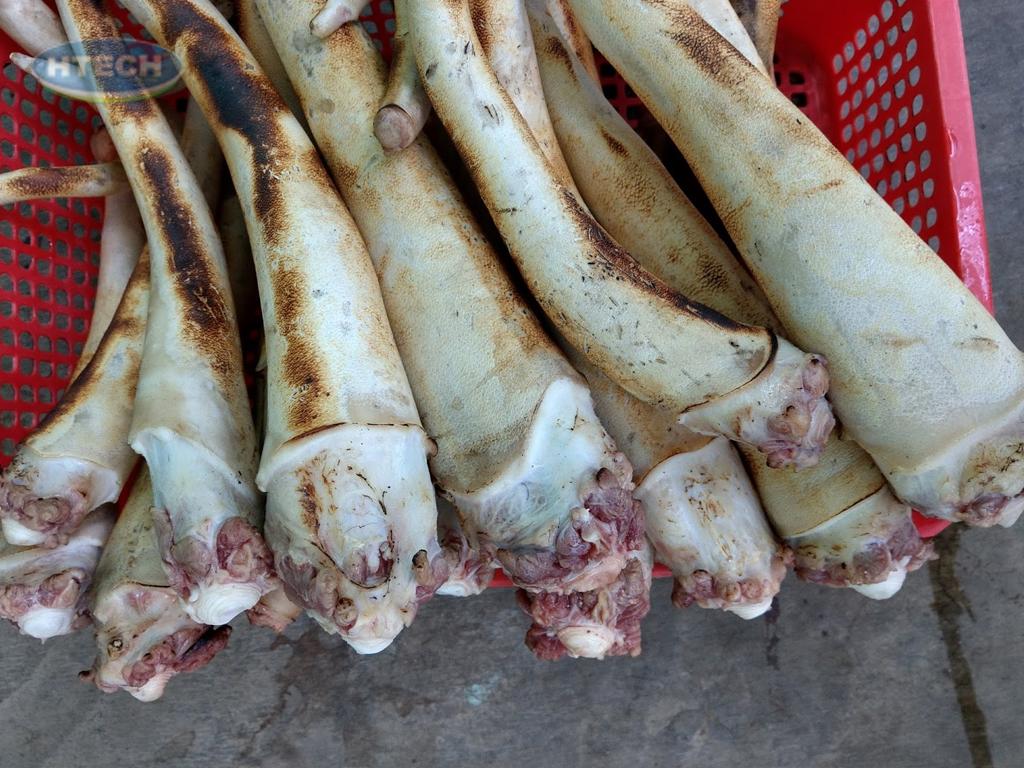 cach-chon-duoi-bo-tuoi-ngon