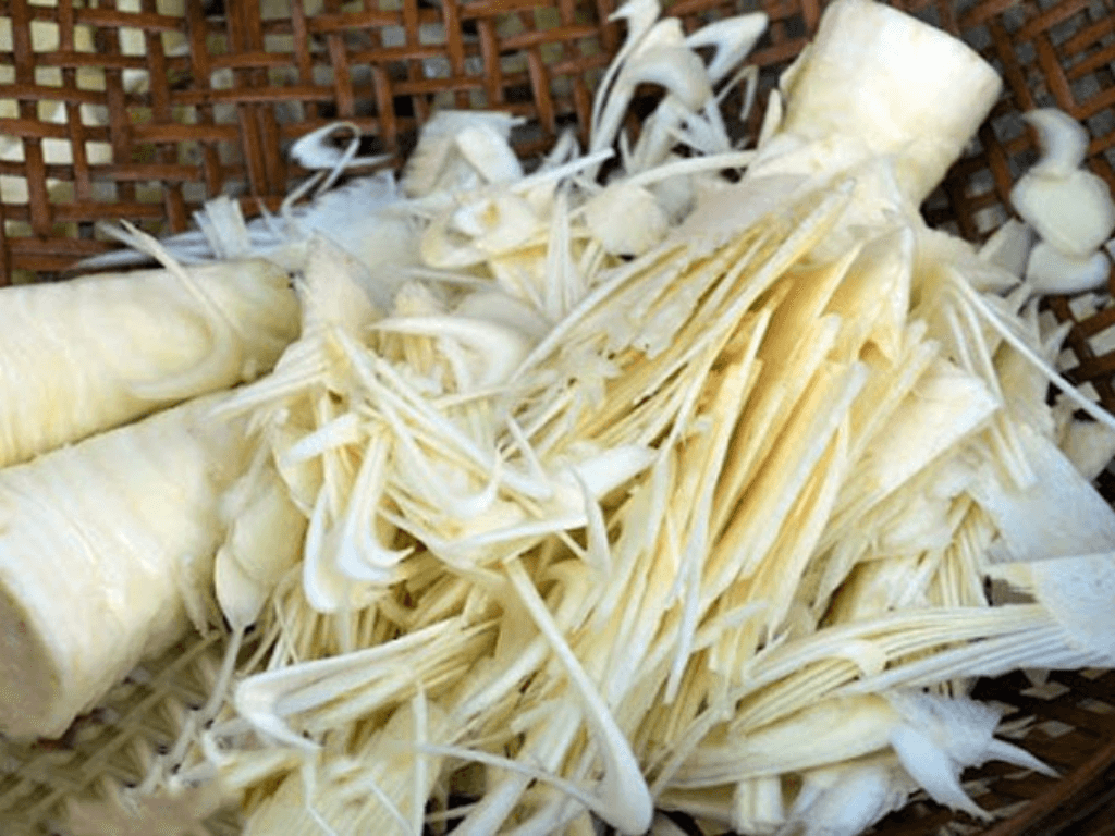 bao-quan-cu-hu-dua-nguyen-cay