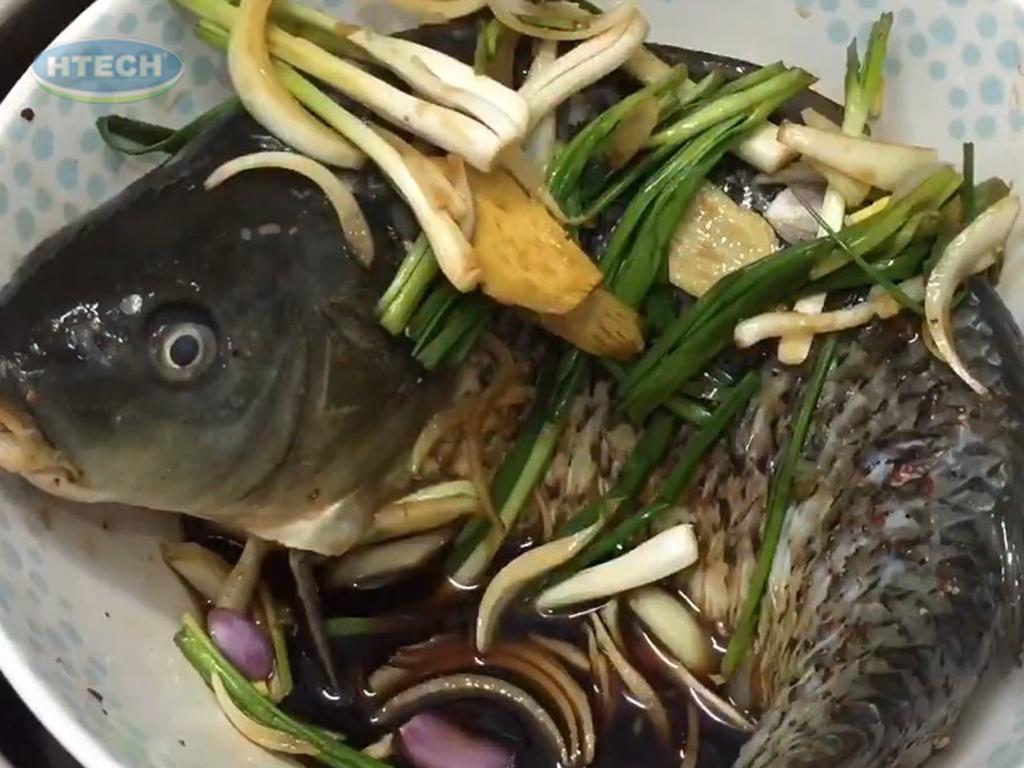 ca-chep-hap-xi-dau