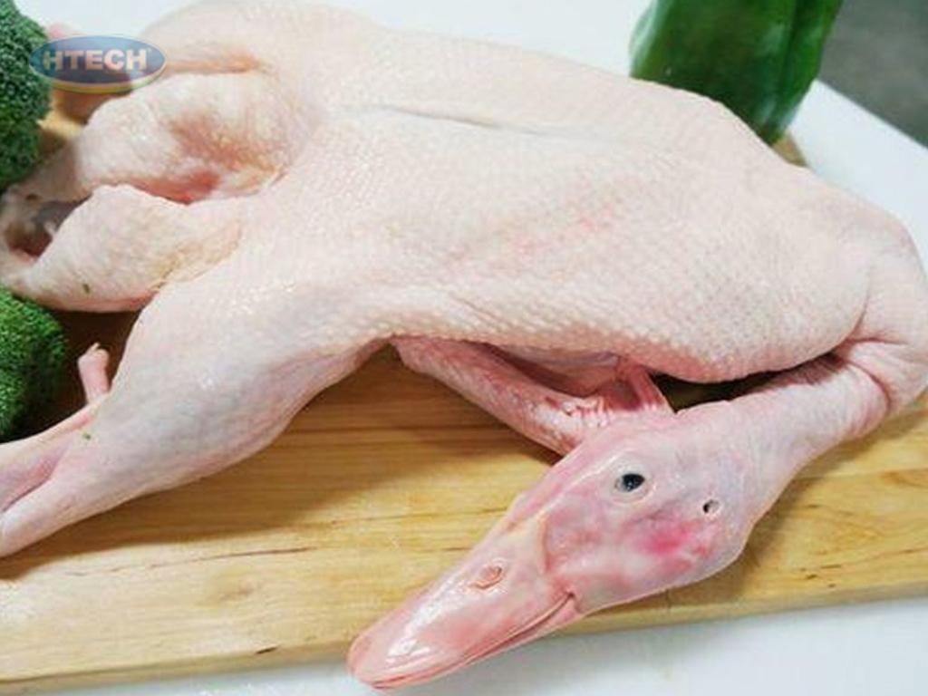 so-che-va-khu-mui-hoi-vit