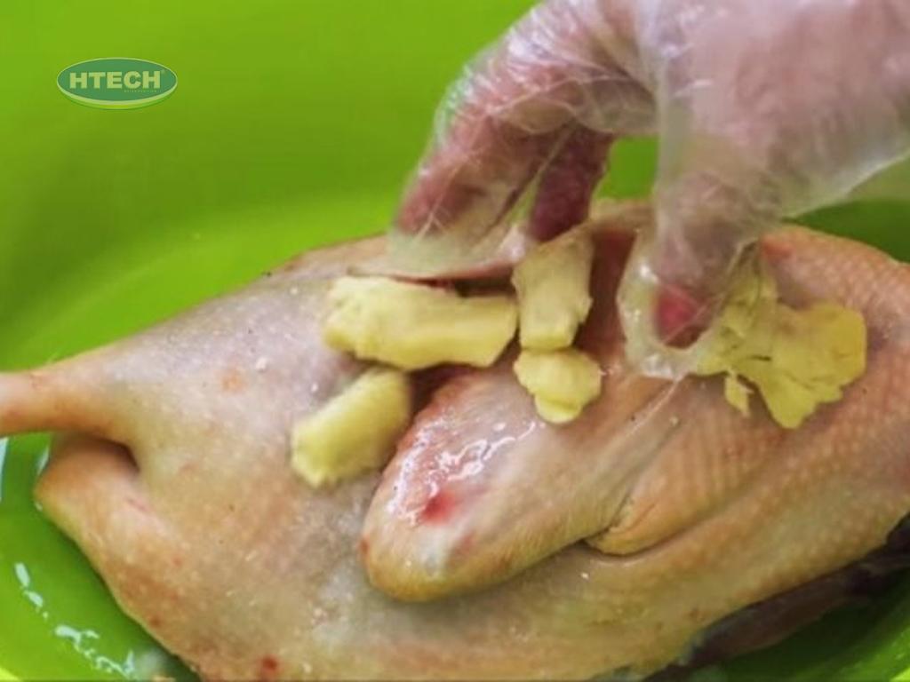 khu-mui-tanh-ga