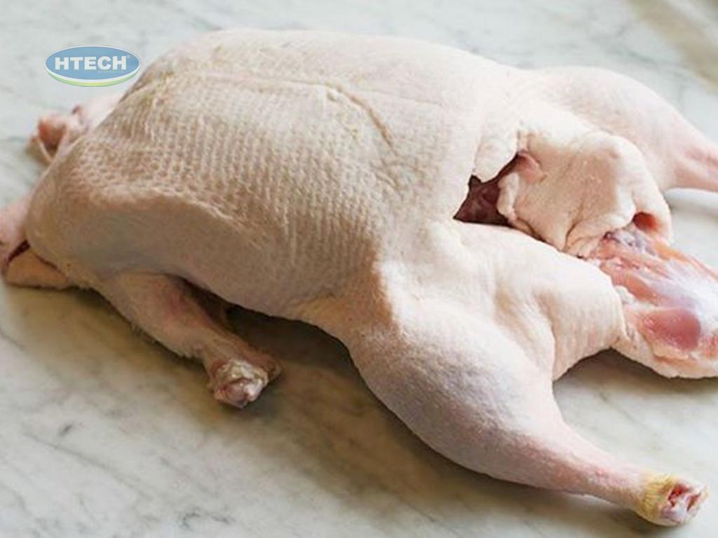 cach-chon-vit-tuoi-ngon