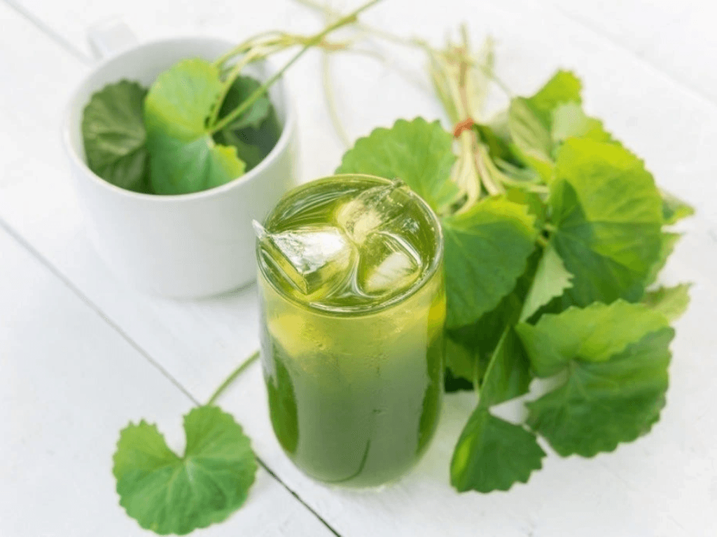 Cách làm nước ép rau má tại nhà, vừa khỏe vừa đẹp từ sâu tít bên trong