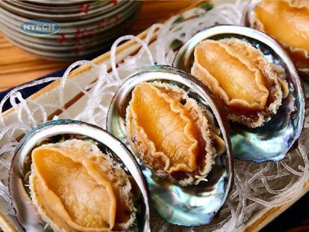 cach-bao-quan-bao-ngu-song