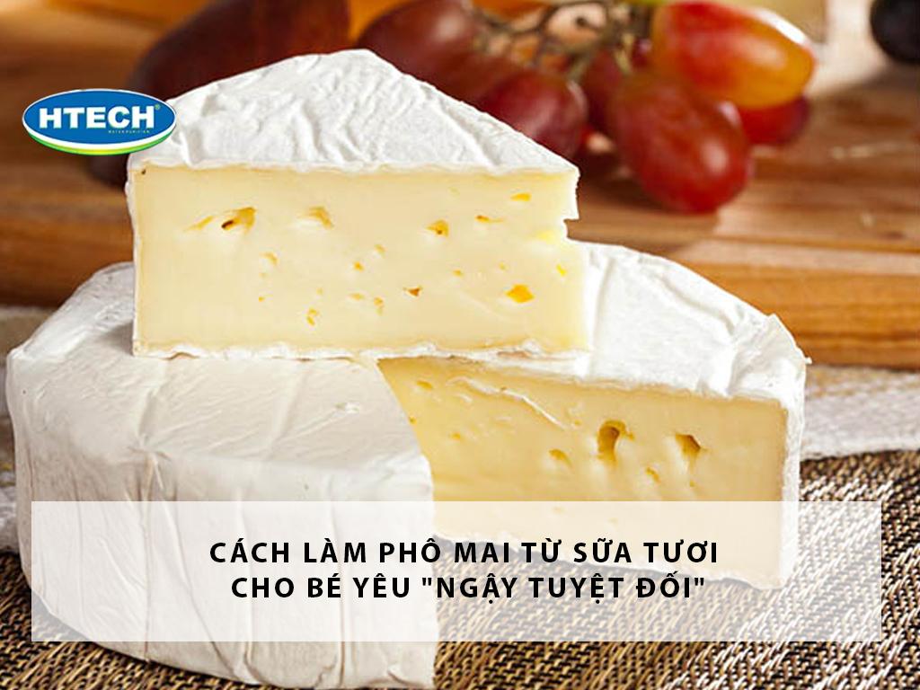 Cách làm phô mai từ sữa tươi cho bé yêu "ngậy tuyệt đối"