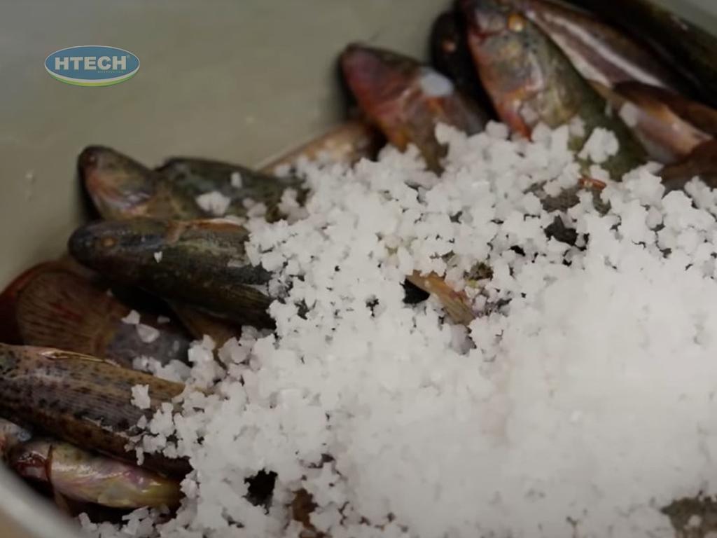 cach-nau-ca-chach-kho-nghe