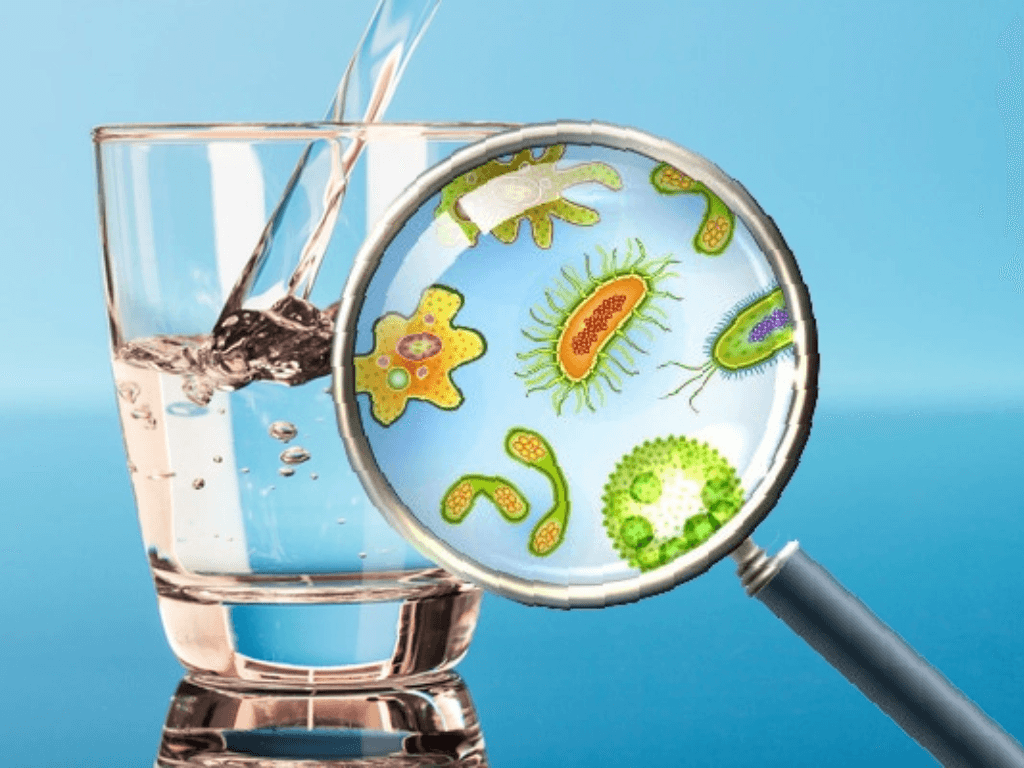 Vi khuẩn E. coli gây bệnh gì? Sự thật "ẩn mình" trong nguồn nước sinh hoạt