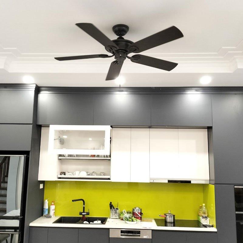 Quạt Trần Luxuryfan Hunter Maribel 50555-2