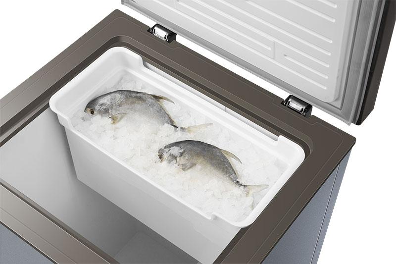 Tủ đông Coex 100L CF-4014G-5