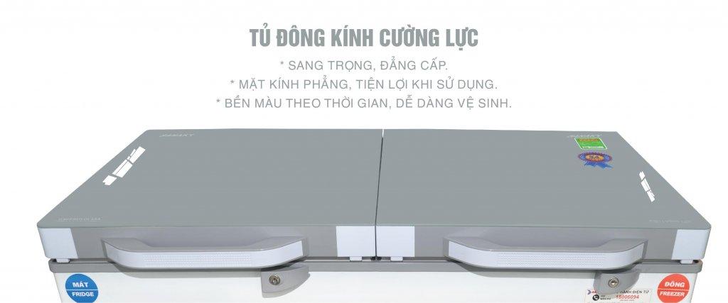 Tủ đông Sanaky Inverter 270L VH-3699A4K-3