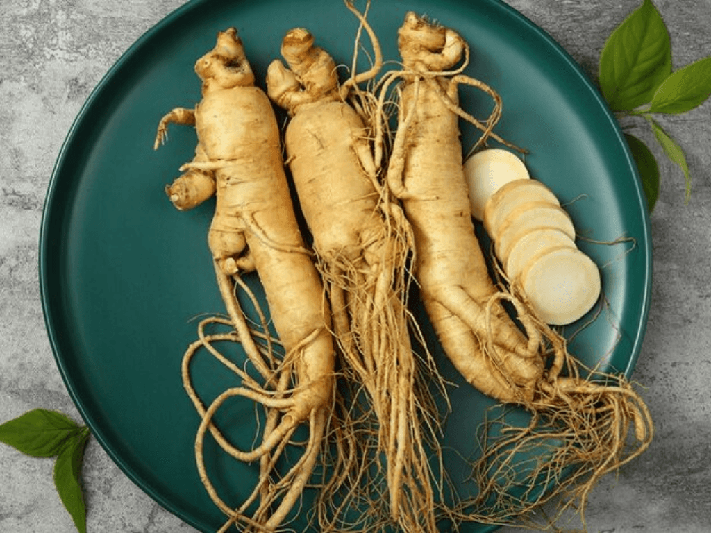 bao-quan-sam-tuoi-trong-tu-lanh