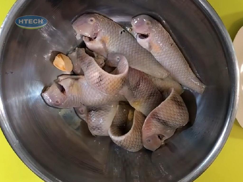 ca-mo-chien-co-can-danh-vay-khong