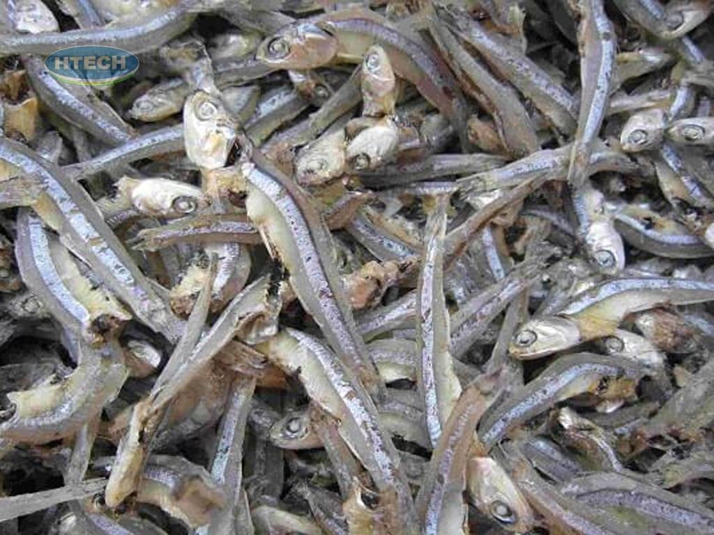 cach-chon-ca-com-kho-ngon