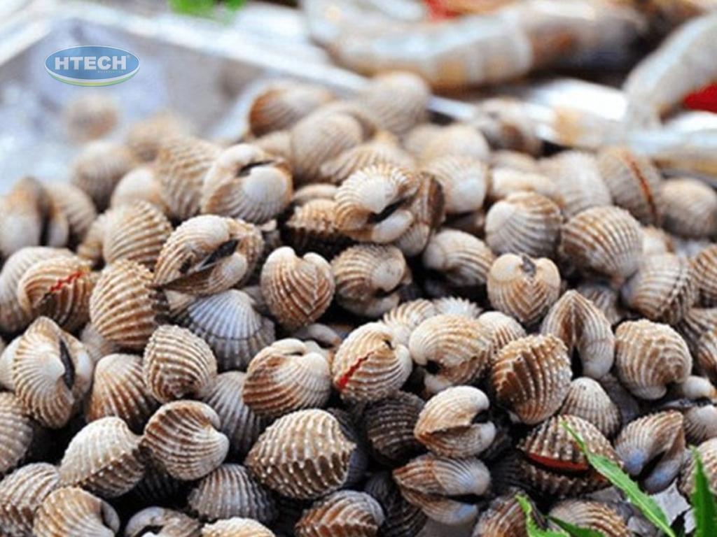 nguyen-lieu-lam-so-huyet-chay-toi-don-gian