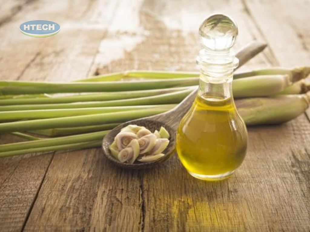 cach-lam-tinh-dau-sa-tai-nha