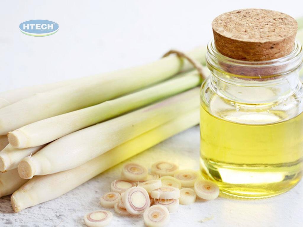 tac-dung-tinh-dau-sa