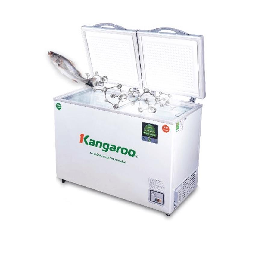 Tủ đông Kangaroo 192L KG266NC2-1